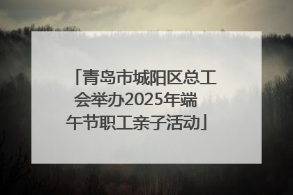 青岛市城阳区总工会举办2025年端午节职工亲子活动
